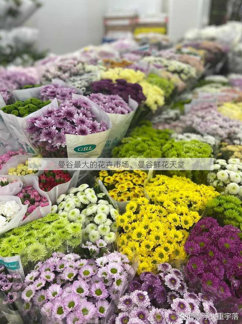 曼谷最大的花卉市场、曼谷鲜花天堂