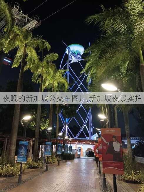 夜晚的新加坡公交车图片,新加坡夜景实拍