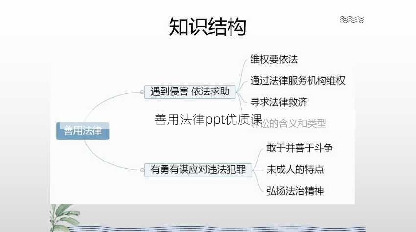 善用法律ppt优质课