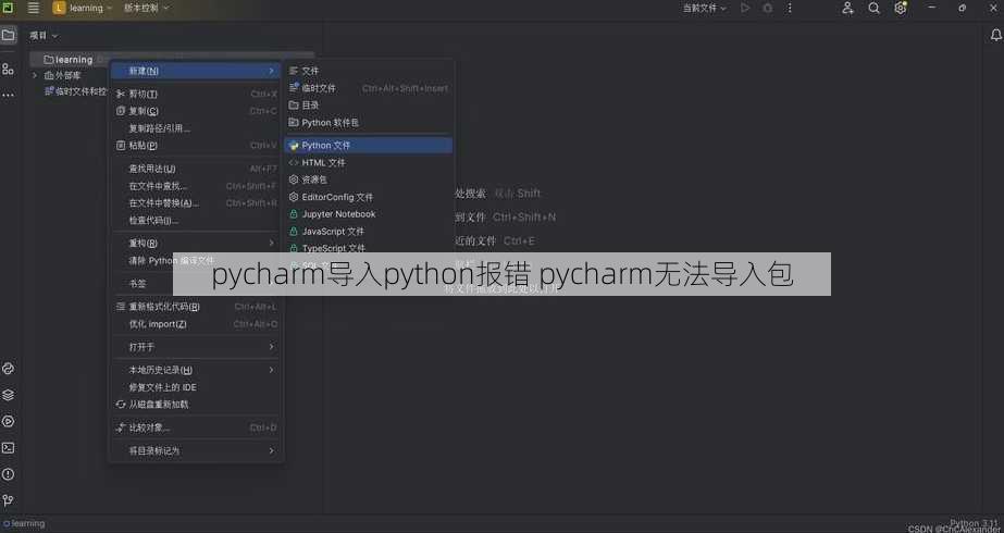 pycharm导入python报错 pycharm无法导入包