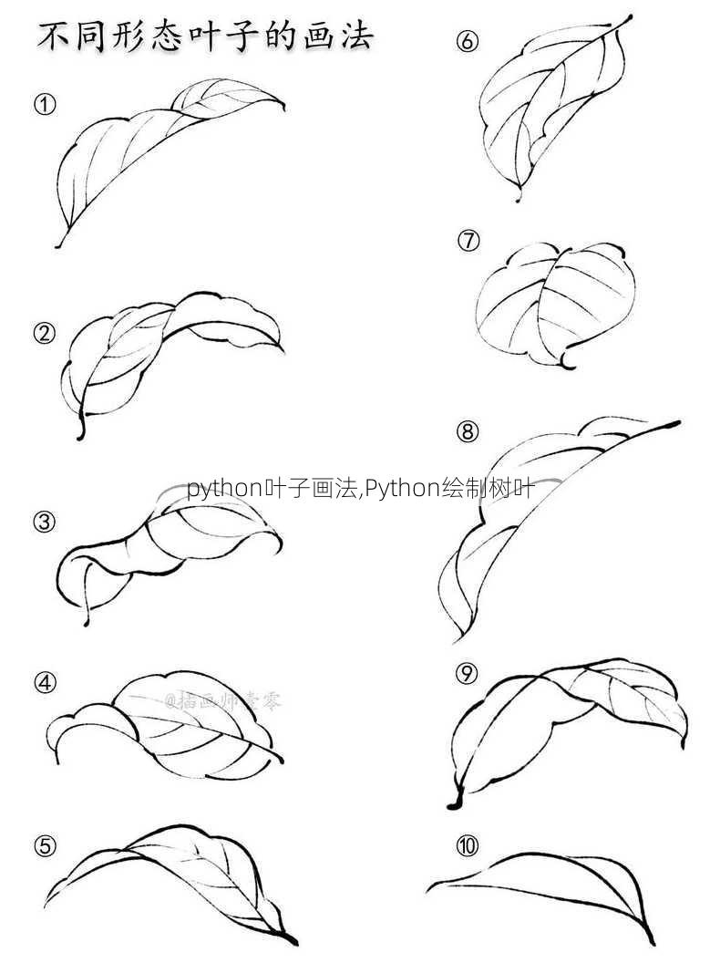 python叶子画法,Python绘制树叶