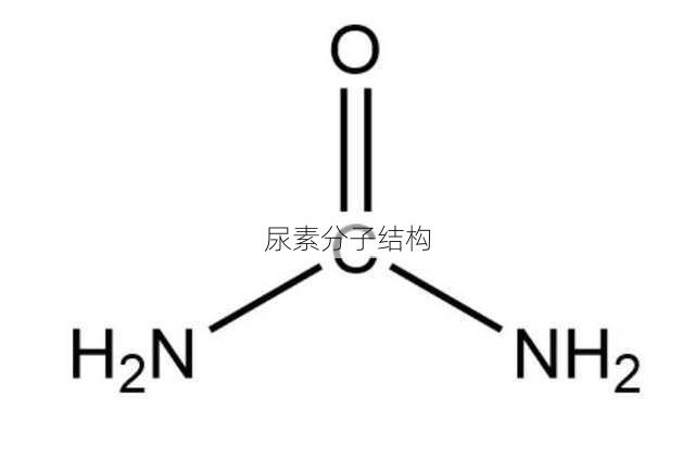 尿素分子结构