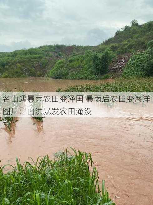 名山遇暴雨农田变泽国 暴雨后农田变海洋图片：山洪暴发农田淹没