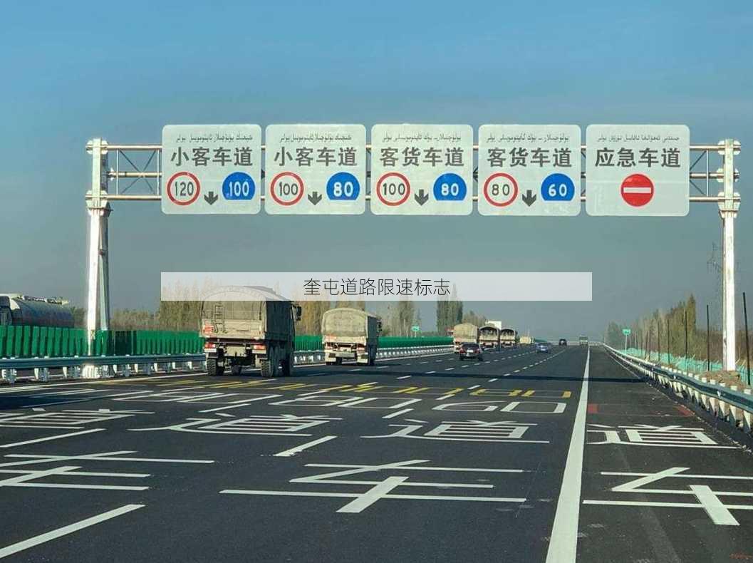 奎屯道路限速标志