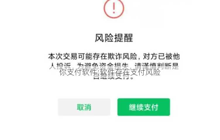 你支付软件;软件存在支付风险