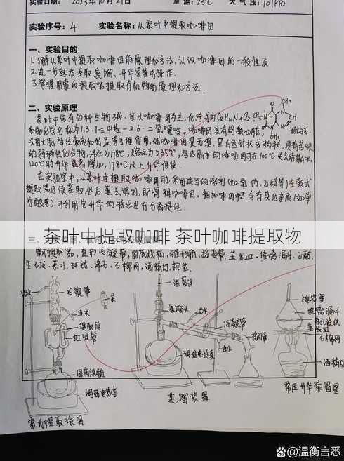 茶叶中提取咖啡 茶叶咖啡提取物