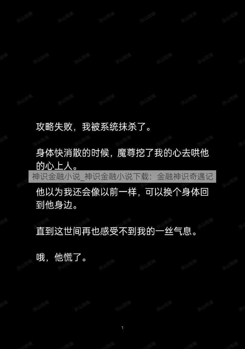 神识金融小说_神识金融小说下载：金融神识奇遇记