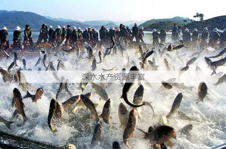 深水水产资源丰富