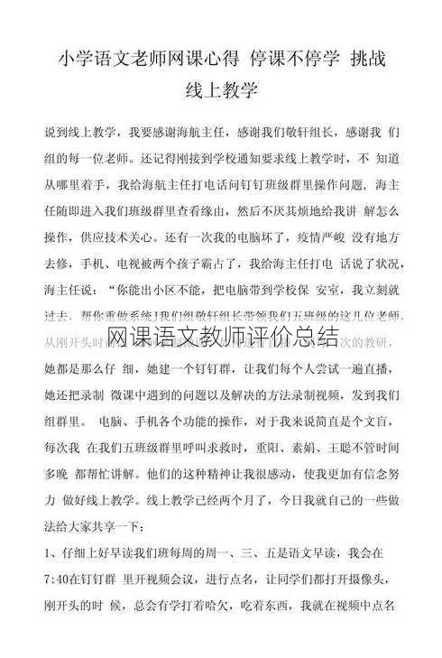 网课语文教师评价总结