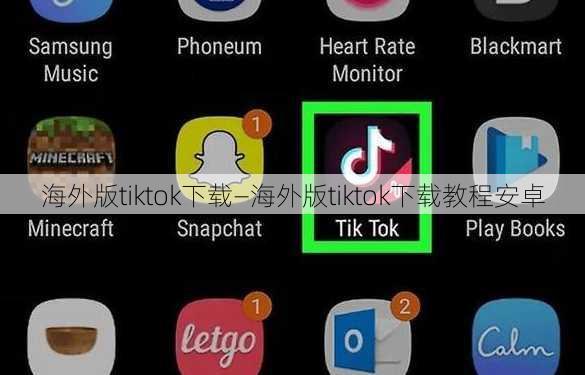 海外版tiktok下载—海外版tiktok下载教程安卓