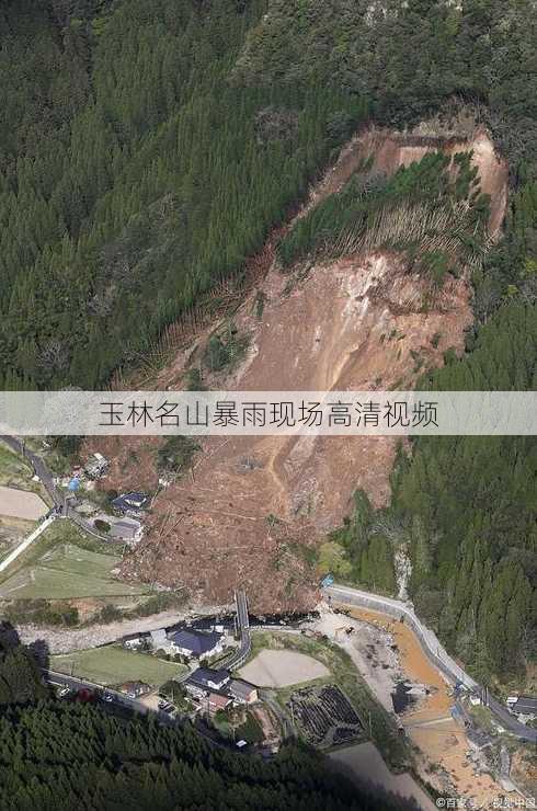 玉林名山暴雨现场高清视频