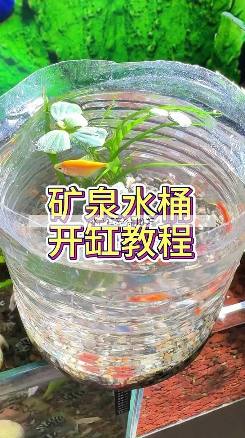 水产缸怎么制作好