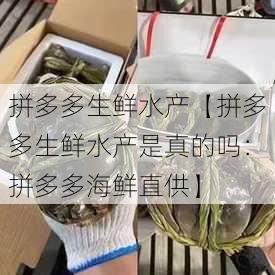 拼多多生鲜水产【拼多多生鲜水产是真的吗：拼多多海鲜直供】